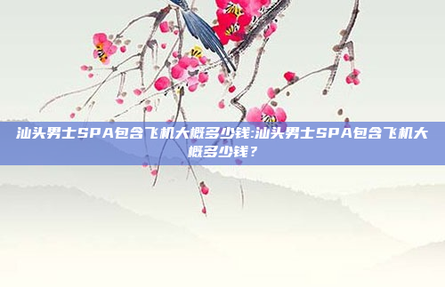 汕头男士SPA包含飞机大概多少钱:汕头男士SPA包含飞机大概多少钱？