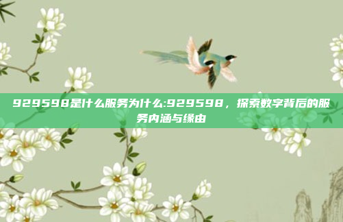 929598是什么服务为什么:929598，探索数字背后的服务内涵与缘由