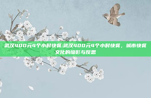 武汉400元4个小时快餐:武汉400元4个小时快餐，城市快餐文化的缩影与反思