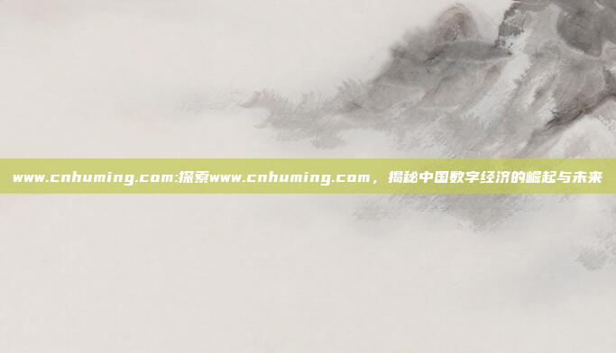 www.cnhuming.com:探索www.cnhuming.com，揭秘中国数字经济的崛起与未来