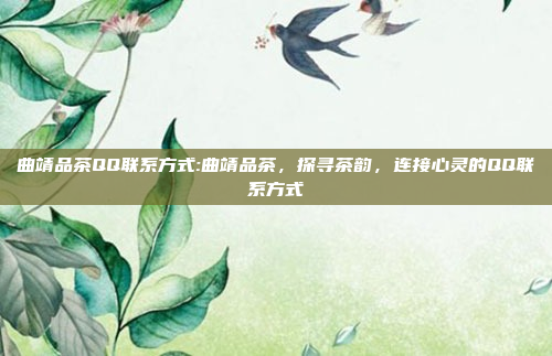 曲靖品茶QQ联系方式:曲靖品茶，探寻茶韵，连接心灵的QQ联系方式