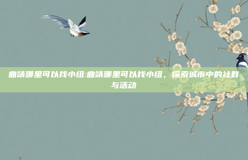 曲靖哪里可以找小组:曲靖哪里可以找小组，探索城市中的社群与活动