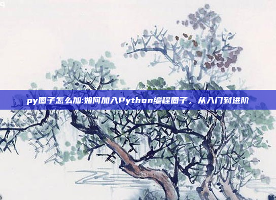 py圈子怎么加:如何加入Python编程圈子，从入门到进阶