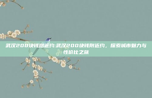 武汉200块钱附近约:武汉200块钱附近约，探索城市魅力与性价比之旅