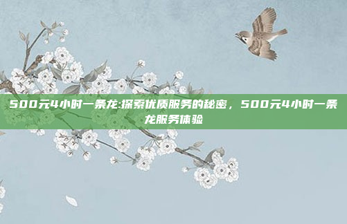 500元4小时一条龙:探索优质服务的秘密，500元4小时一条龙服务体验