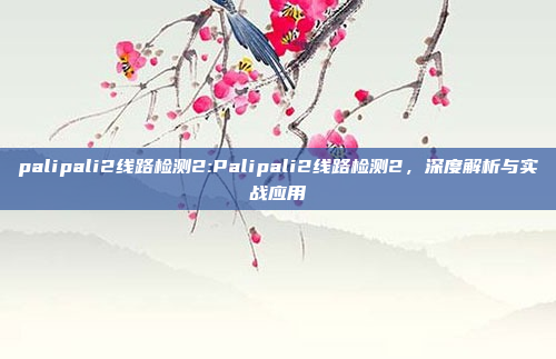 palipali2线路检测2:Palipali2线路检测2，深度解析与实战应用