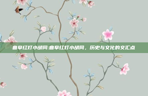 曲阜红灯小胡同:曲阜红灯小胡同，历史与文化的交汇点