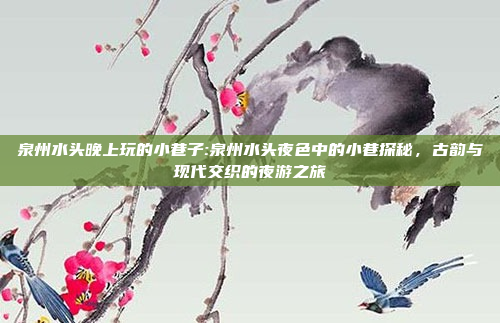 泉州水头晚上玩的小巷子:泉州水头夜色中的小巷探秘，古韵与现代交织的夜游之旅