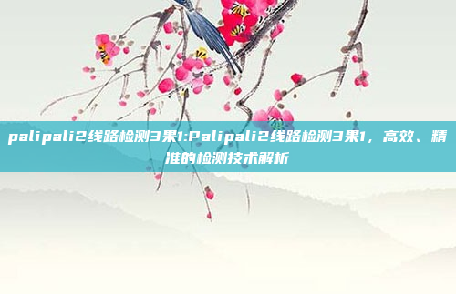 palipali2线路检测3果1:Palipali2线路检测3果1，高效、精准的检测技术解析