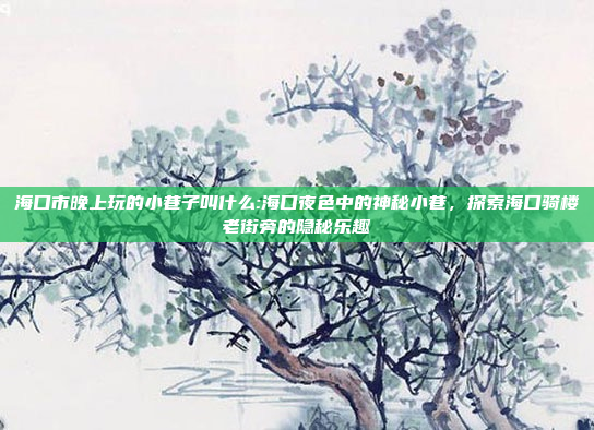 海口市晚上玩的小巷子叫什么:海口夜色中的神秘小巷，探索海口骑楼老街旁的隐秘乐趣