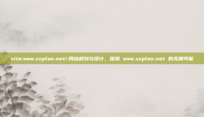 site:www.zzplan.net/:网站规划与设计，探索 www.zzplan.net 的无限可能