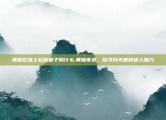 黄陂区晚上玩的巷子叫什么:黄陂夜色，探寻月光巷的迷人魅力