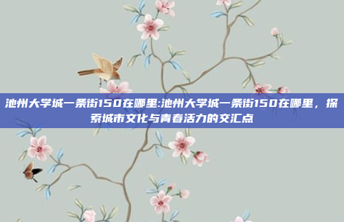 池州大学城一条街150在哪里:池州大学城一条街150在哪里，探索城市文化与青春活力的交汇点