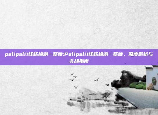 palipali1线路检测一整晚:Palipali1线路检测一整晚，深度解析与实战指南