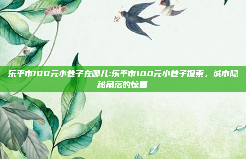 乐平市100元小巷子在哪儿:乐平市100元小巷子探索，城市隐秘角落的惊喜