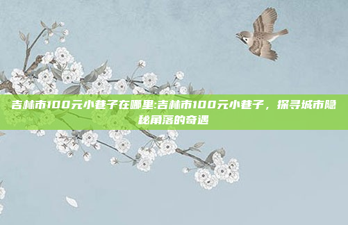 吉林市100元小巷子在哪里:吉林市100元小巷子，探寻城市隐秘角落的奇遇