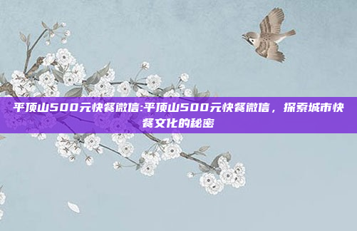 平顶山500元快餐微信:平顶山500元快餐微信，探索城市快餐文化的秘密