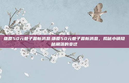 塘厦50元巷子最新消息:塘厦50元巷子最新消息，揭秘小镇隐秘角落的变迁