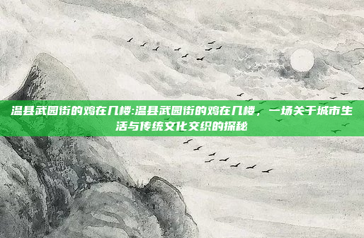 温县武园街的鸡在几楼:温县武园街的鸡在几楼，一场关于城市生活与传统文化交织的探秘