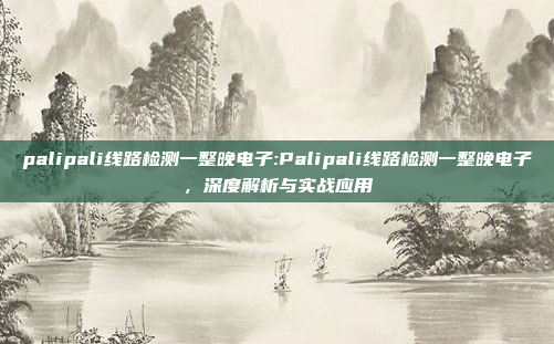 palipali线路检测一整晚电子:Palipali线路检测一整晚电子，深度解析与实战应用