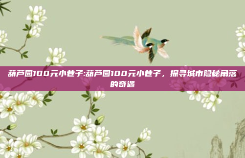 葫芦园100元小巷子:葫芦园100元小巷子，探寻城市隐秘角落的奇遇