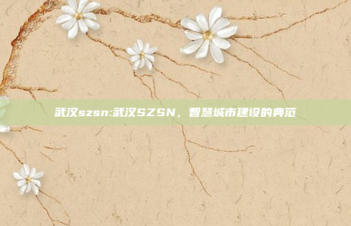 武汉szsn:武汉SZSN，智慧城市建设的典范