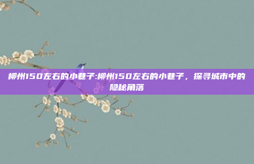 柳州150左右的小巷子:柳州150左右的小巷子，探寻城市中的隐秘角落