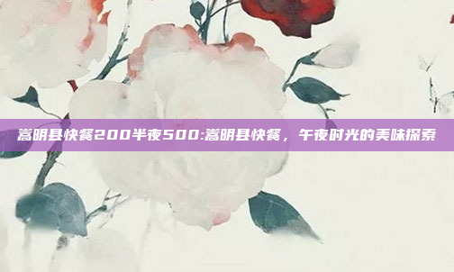 嵩明县快餐200半夜500:嵩明县快餐，午夜时光的美味探索