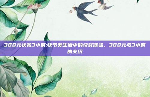 300元快餐3小时:快节奏生活中的快餐体验，300元与3小时的交织