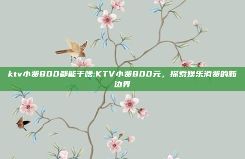 ktv小费800都能干啥:KTV小费800元，探索娱乐消费的新边界