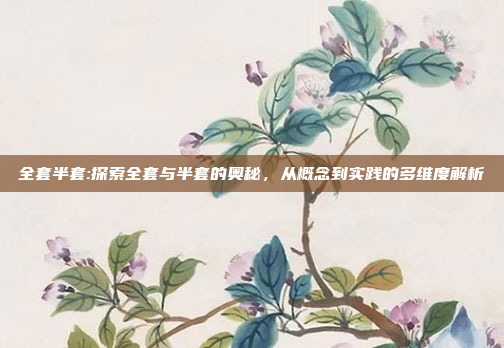 全套半套:探索全套与半套的奥秘，从概念到实践的多维度解析