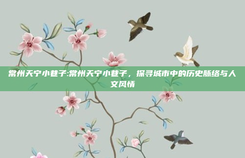 常州天宁小巷子:常州天宁小巷子，探寻城市中的历史脉络与人文风情