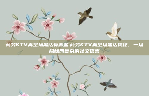 商务KTV真空场黑话有哪些:商务KTV真空场黑话揭秘，一场隐秘而复杂的社交语言