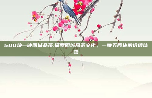 500块一晚同城品茶:探索同城品茶文化，一晚五百块的价值体验