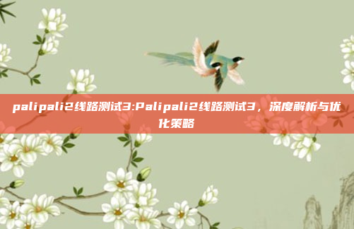 palipali2线路测试3:Palipali2线路测试3，深度解析与优化策略