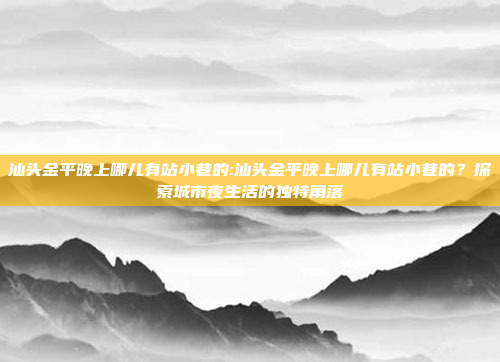 汕头金平晚上哪儿有站小巷的:汕头金平晚上哪儿有站小巷的？探索城市夜生活的独特角落