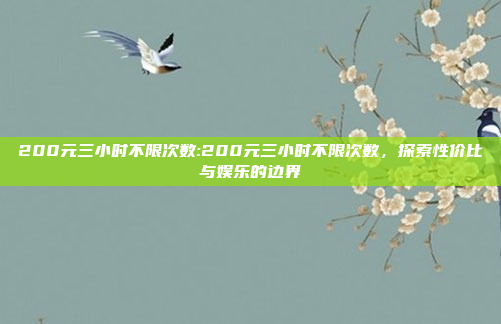 200元三小时不限次数:200元三小时不限次数，探索性价比与娱乐的边界