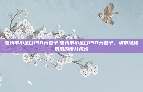 惠州市小金口150元巷子:惠州市小金口150元巷子，城市隐秘角落的市井风情