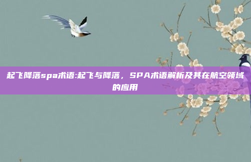 起飞降落spa术语:起飞与降落，SPA术语解析及其在航空领域的应用