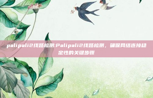 palipali2线路检测:Palipali2线路检测，确保网络连接稳定性的关键步骤