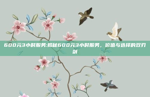 600元3小时服务:揭秘600元3小时服务，价值与选择的双刃剑