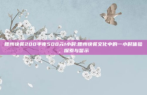 滕州快餐200半夜500元1小时:滕州快餐文化中的一小时体验，探索与警示