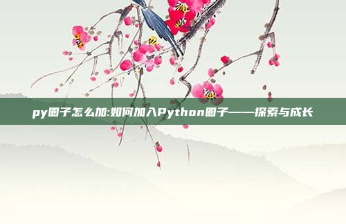 py圈子怎么加:如何加入Python圈子——探索与成长