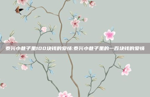 泰兴小巷子里100块钱的爱情:泰兴小巷子里的一百块钱的爱情