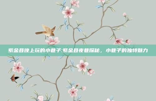 紫金县晚上玩的小巷子:紫金县夜巷探秘，小巷子的独特魅力