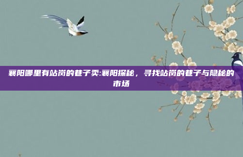 襄阳哪里有站岗的巷子卖:襄阳探秘，寻找站岗的巷子与隐秘的市场