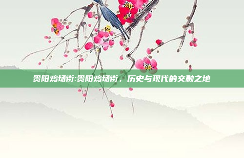 贵阳鸡场街:贵阳鸡场街，历史与现代的交融之地