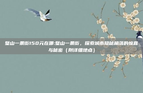 璧山一条街150元在哪:璧山一条街，探索城市隐秘角落的惊喜与秘密（附详细地点）