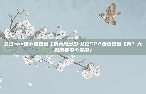 女性spa是不是包含飞机大概多少:女性SPA是否包含飞机？大概需要多少费用？