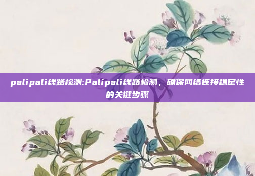 palipali线路检测:Palipali线路检测，确保网络连接稳定性的关键步骤